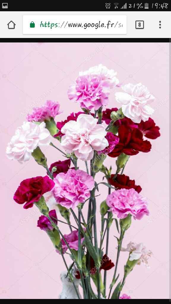 J-16, bouquet!! - 2