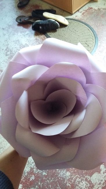 rose géante 