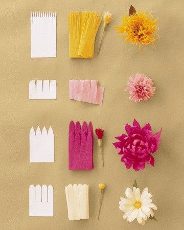 formes de fleurs