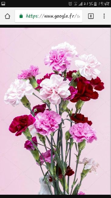 J-16, bouquet!! - 2