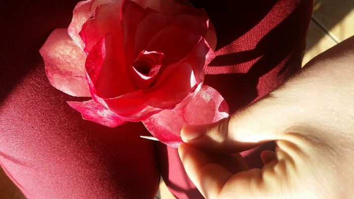 formation des roses