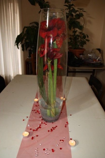 Table rouge et blanc