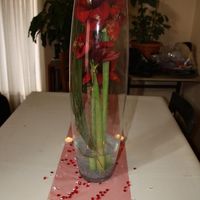 Table rouge et blanc