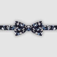 Nœud papillon en commun pour témoins - 1