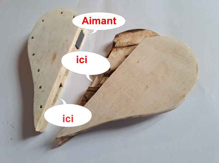 Porte alliance fait maison - 1