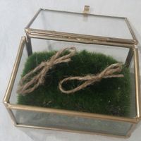 Boite alliance en verre, vos avis ? - 1