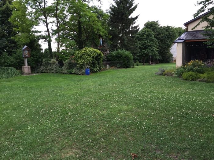La demande en mariage ! - 5
