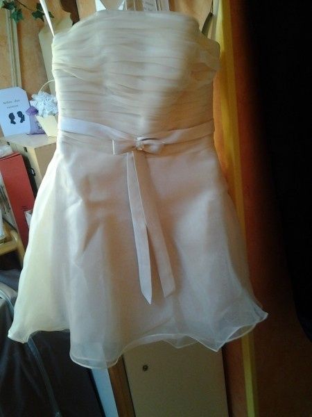 Choix dans la robe de ma demoiselle d'honneur - 1