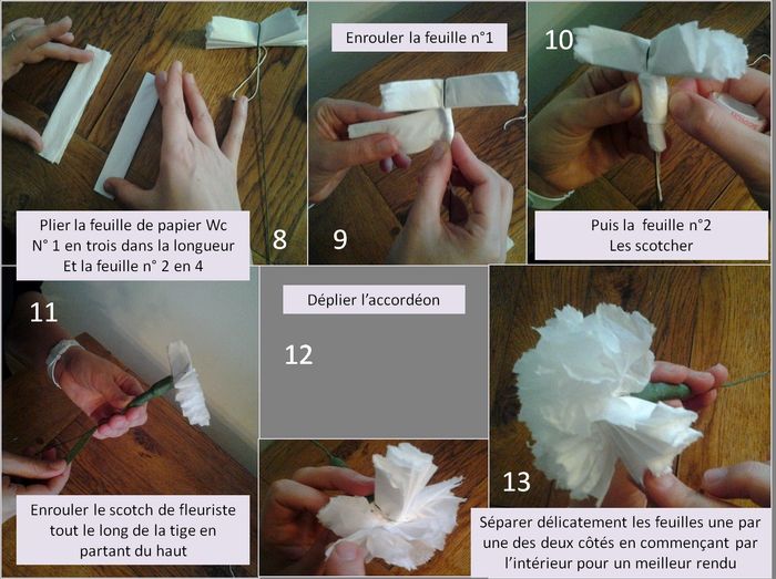 Mes oeillets maisons 4