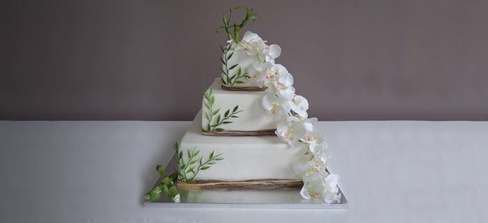 1er gateaux "fraisier et pate d'amande" 