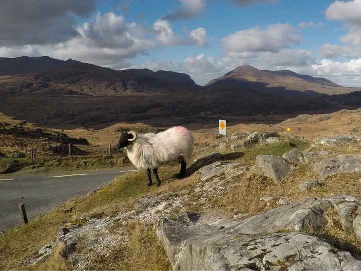 Go to Irland 🇮🇪  ☘️ - 6