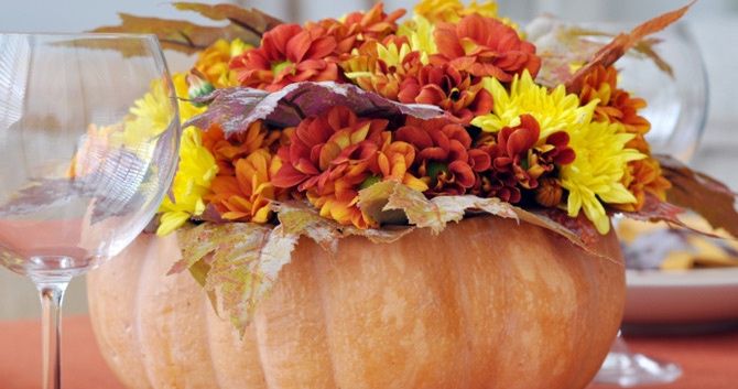 Chrysanthèmes ?? - 3