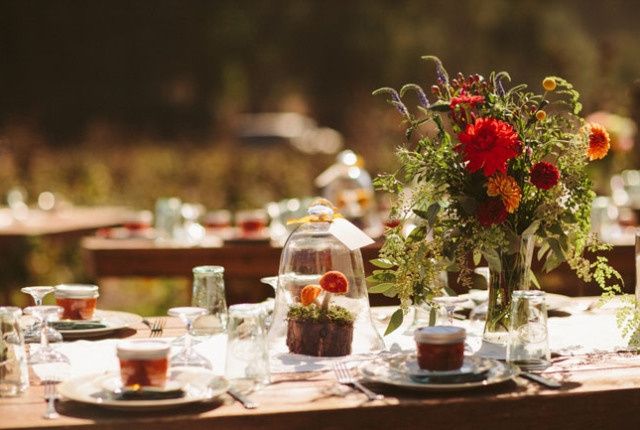 Chrysanthèmes ?? - 4