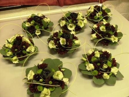 Chrysanthèmes ?? - 5