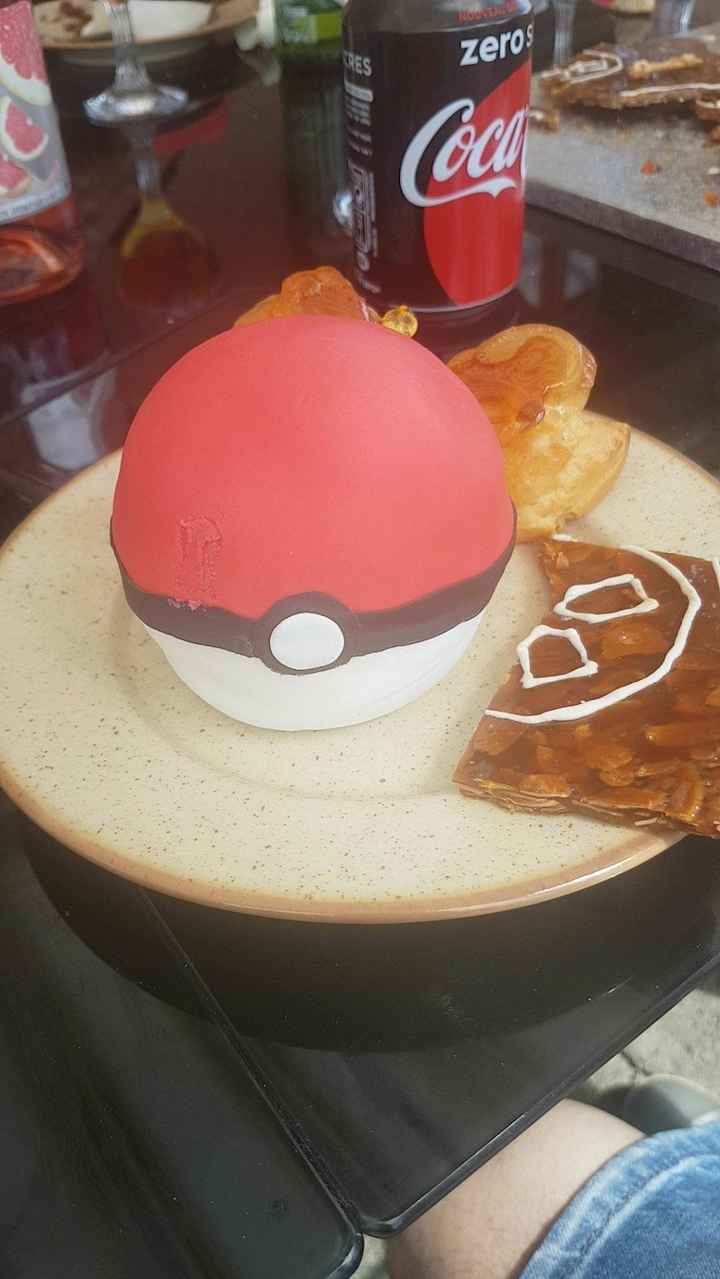 Pokeball première vue