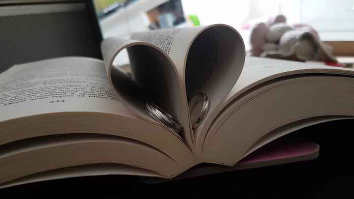 Toujours dans le livre