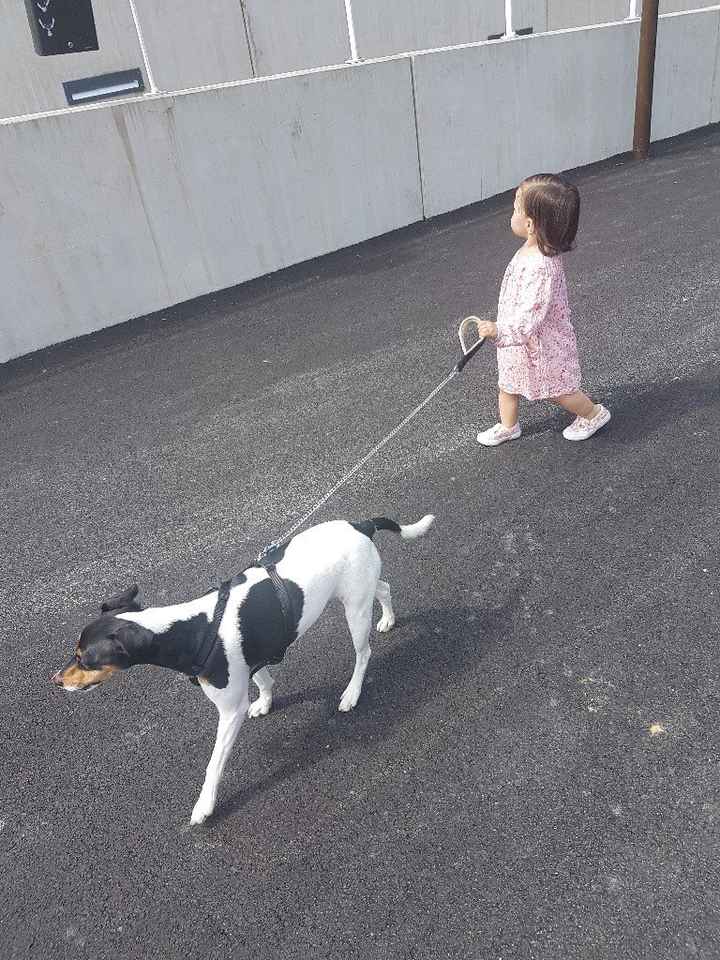 Animal, animaux, photos de nos chéris - 2