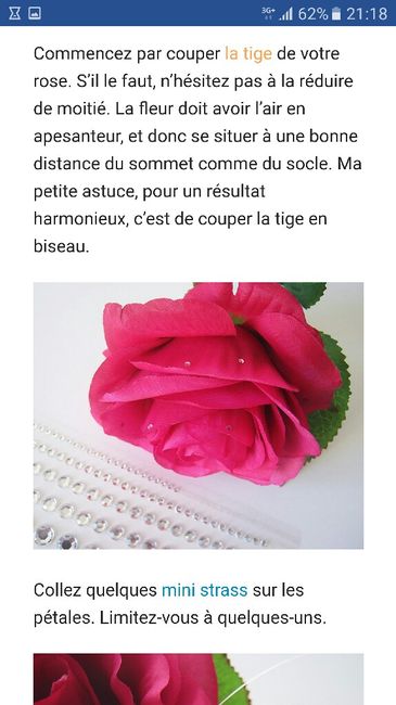 Quel rose pour quel contenant : pour table belle et la bête - 2
