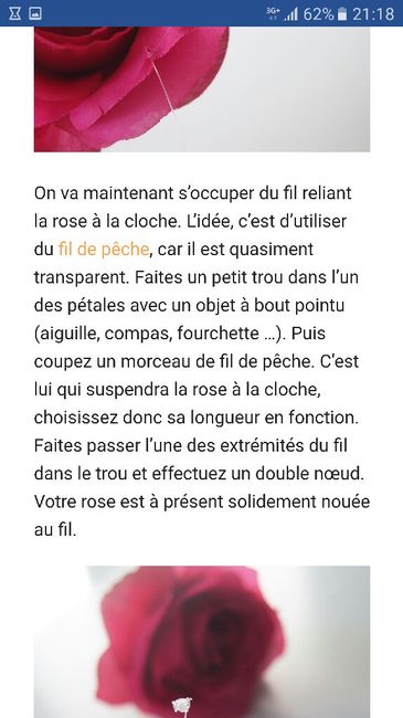 Quel rose pour quel contenant : pour table belle et la bête - 3