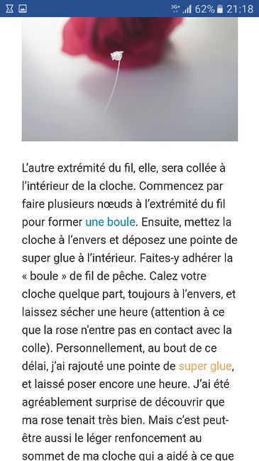 Quel rose pour quel contenant : pour table belle et la bête - 4