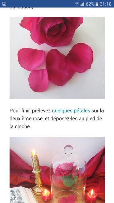 Quel rose pour quel contenant : pour table belle et la bête - 6