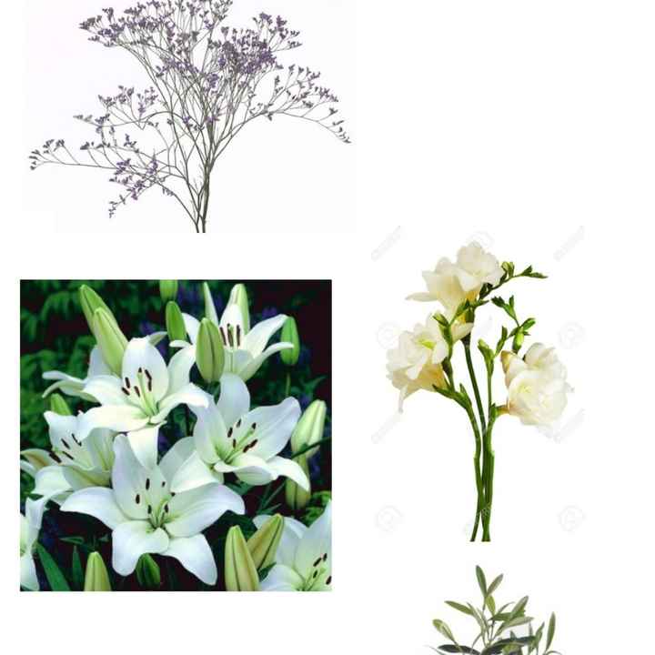 Bouquet  blanc ou bouquet coloré ? - 3