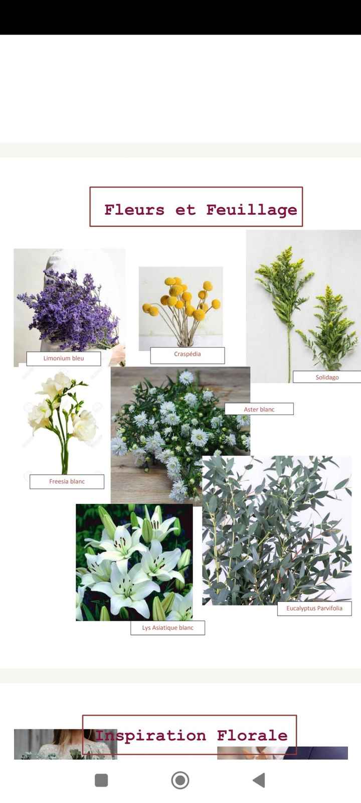 Fleurs 🌸 - 1