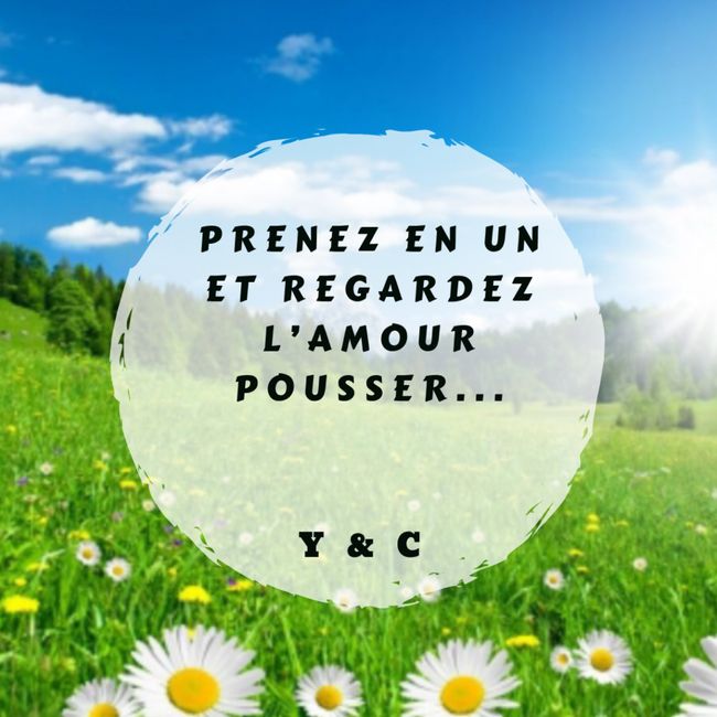 Semez les graines de notre amour 2