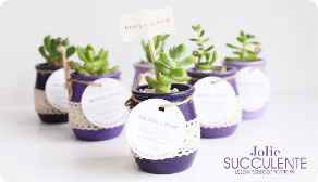 Cadeau invité : Succulente 