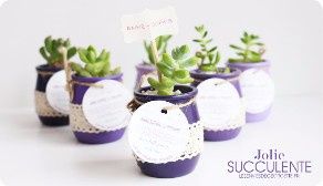 Cadeau invité : Succulente 