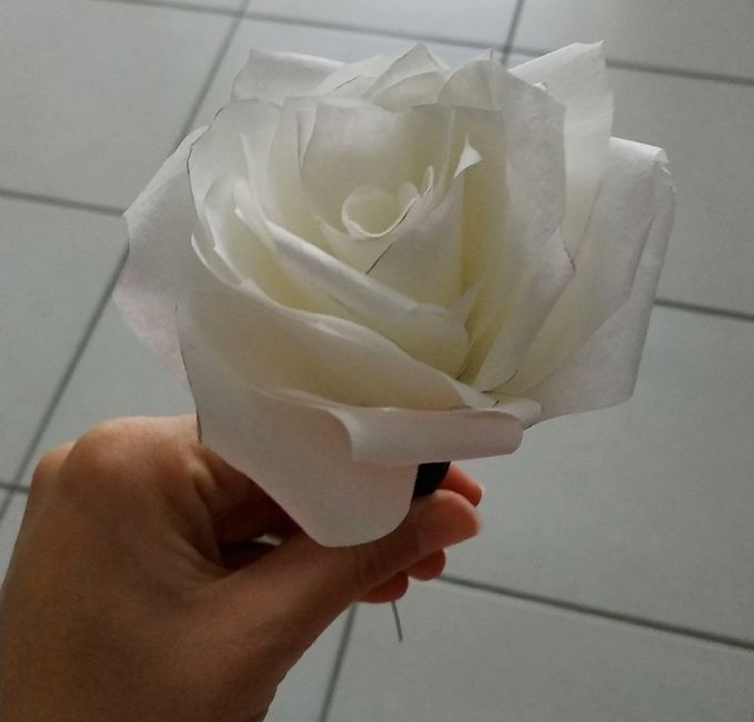 Rose en filtre à café