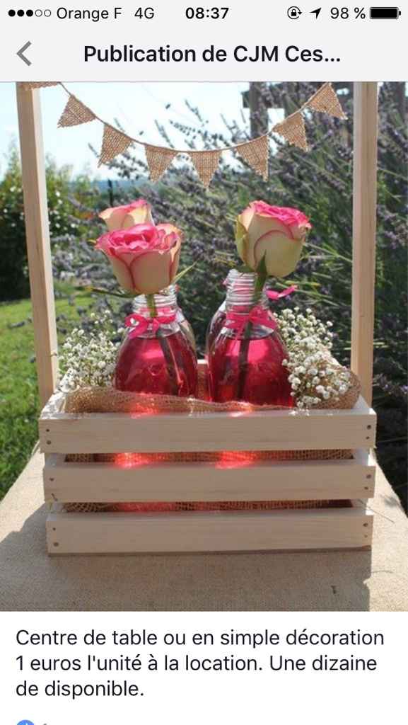 Location décoration vintage/champêtre - 3