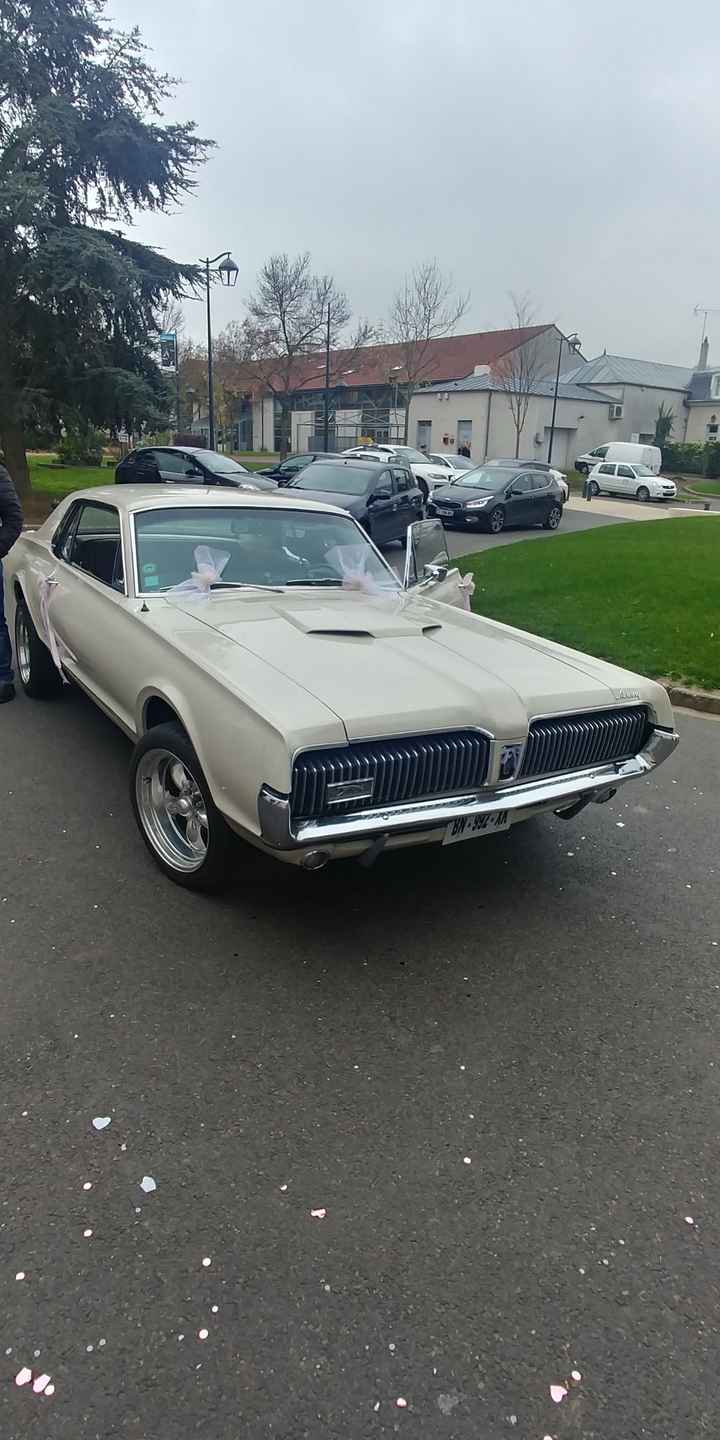 Cougar Mercury