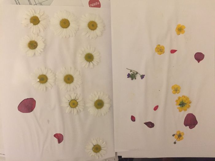 Atelier fleurs séchées - 2