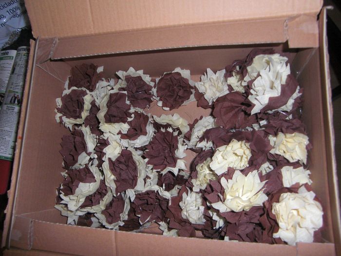 Fleurs en papier crépon