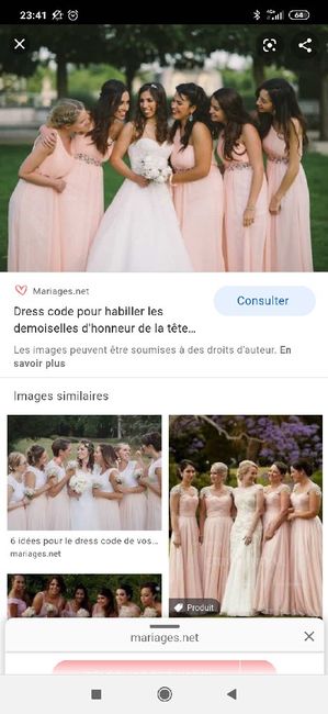 Couleurs : robes témoins et demoiselles d'honneur 10