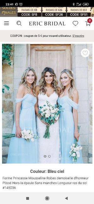 Couleurs : robes témoins et demoiselles d'honneur 8