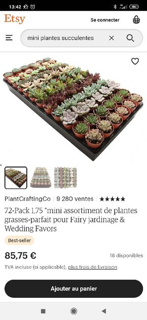 Cadeaux invités : mini plante - 1