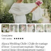 Veste/châle/cape sur robe princesse - 1