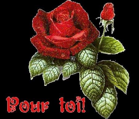 mon amour