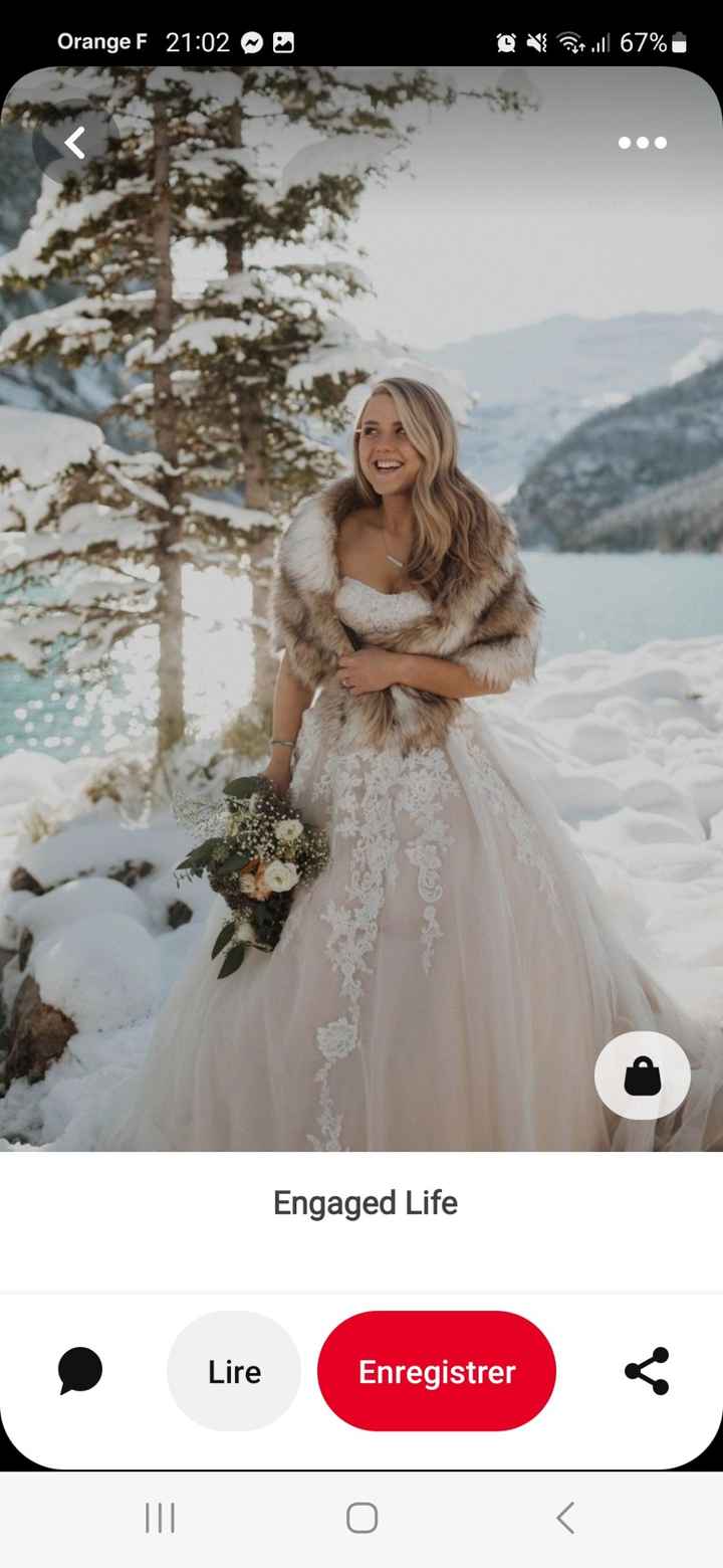 La couleur de ma robe sera ___ - 2