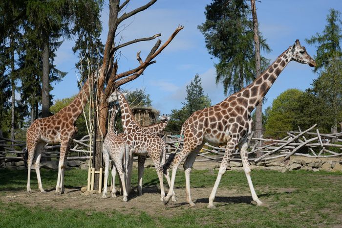 Une bonne journée 6