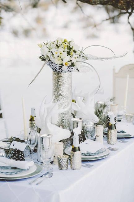 Inspirations hivernales 51