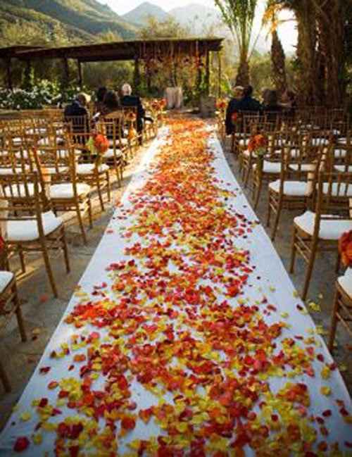 Mariage en automne - 14