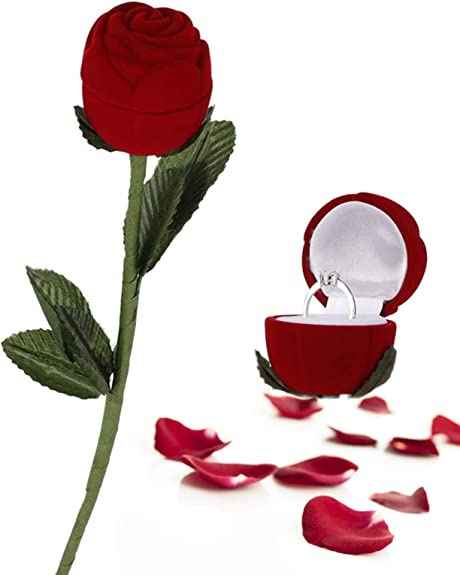 Enfants qui apportent les alliances - 1