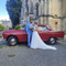Elvina