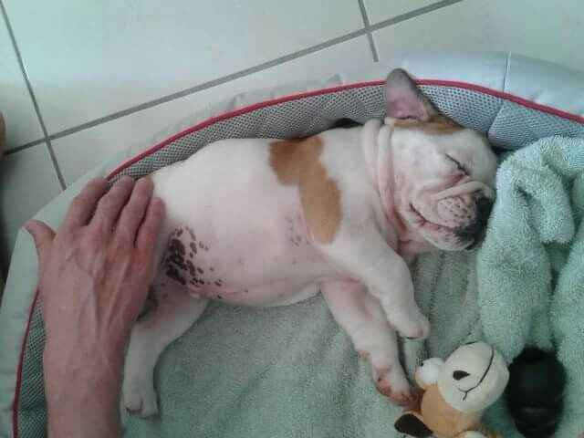 Notre cadeau de mariage en avance - 1