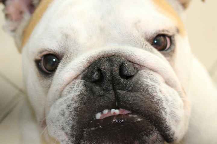 Notre cadeau de mariage en avance - 2