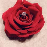 Je me suis fiancé(e) le : ____ - 1