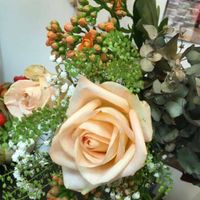 💘 La couleur des roses est-elle importante pour toi ? - 1